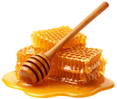 Bal & Arı Ürünleri